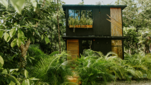 Eco-Friendly Cleaning