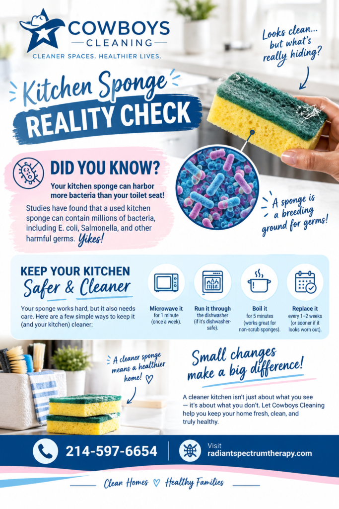 COWBOYS FLYER Kitchen Sponge Reality Check